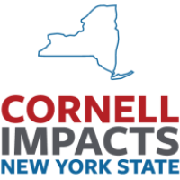Cornell impacting New York State