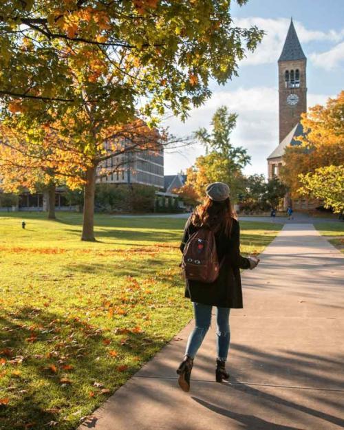 arts quad